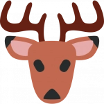 refracto.ru favicon